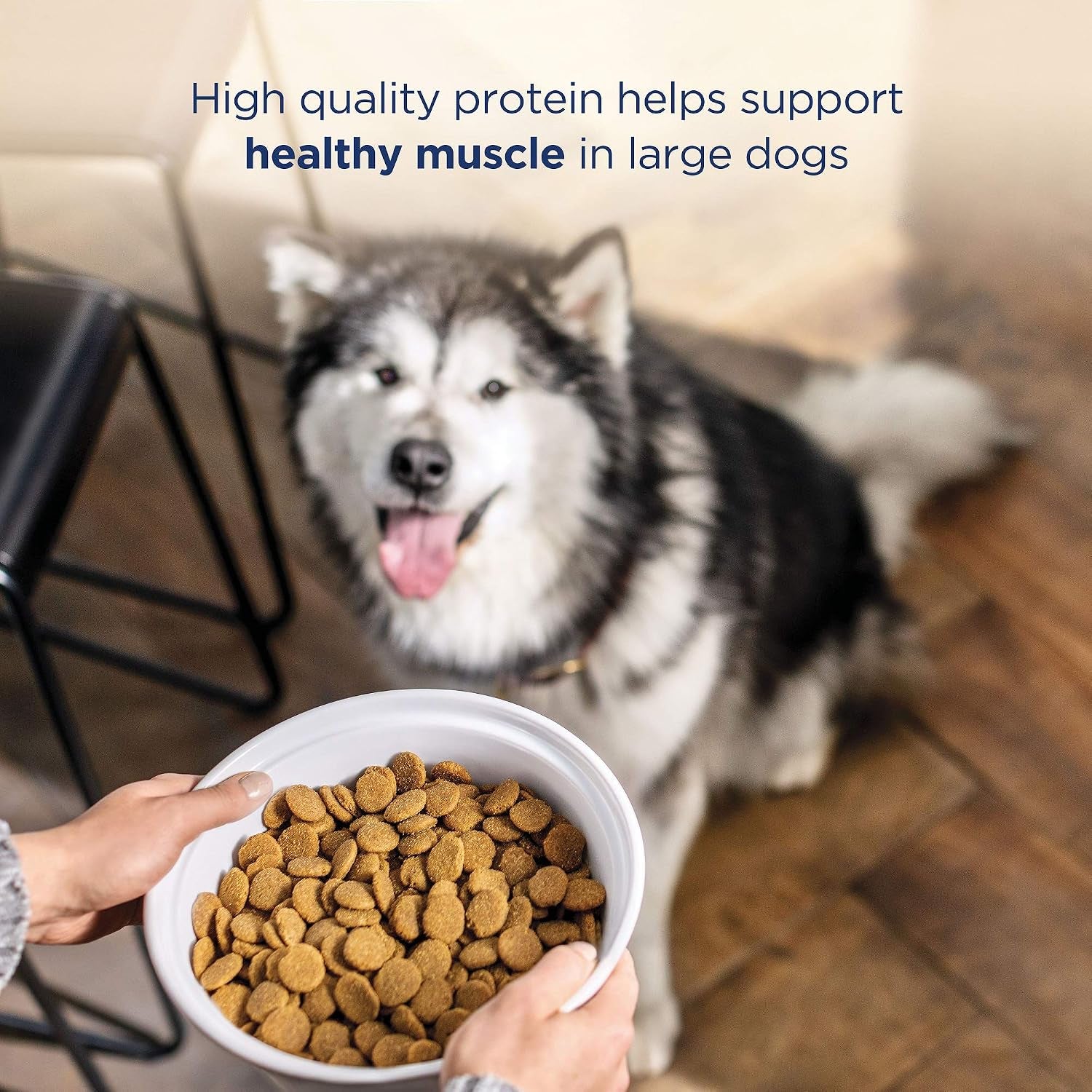 Limited Ingredient Diet Large-Breed Adult Dry Dog Food with Healthy Grains Chicken & Brown Rice, 12 Pound (Pack of 1)