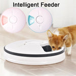 Smart 6-Meal Automatic Pet Feeder