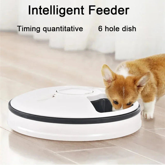 Smart 6-Meal Automatic Pet Feeder
