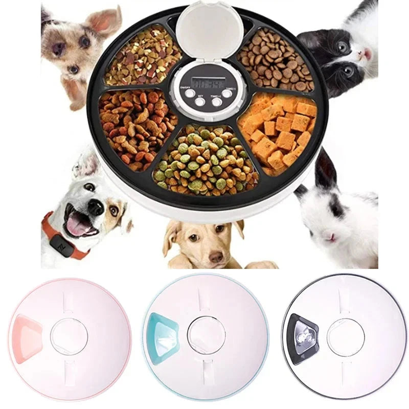 Smart 6-Meal Automatic Pet Feeder