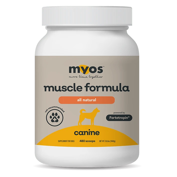 Canine Muscle Supplement for Senior Dog Vitality