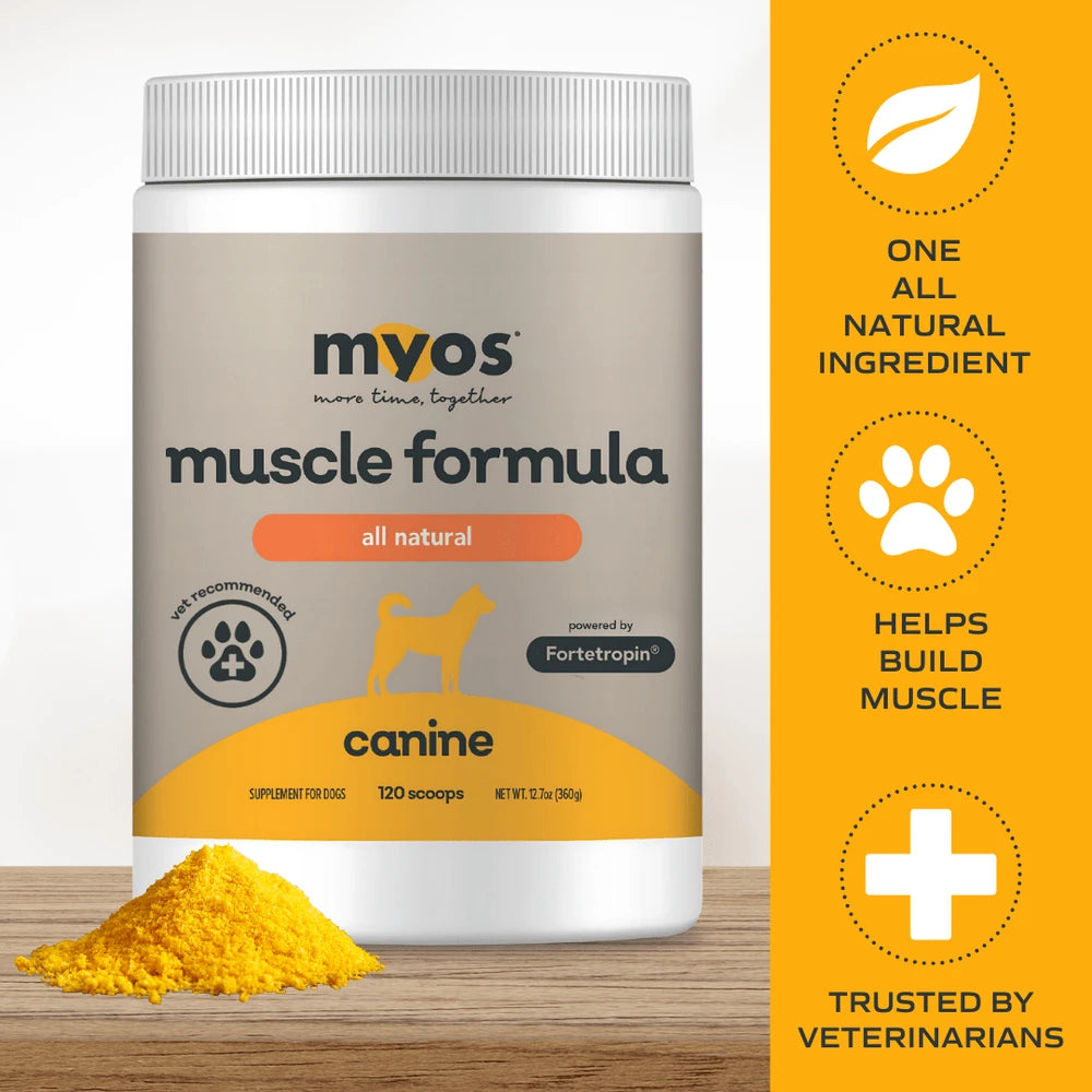 Canine Muscle Supplement for Senior Dog Vitality