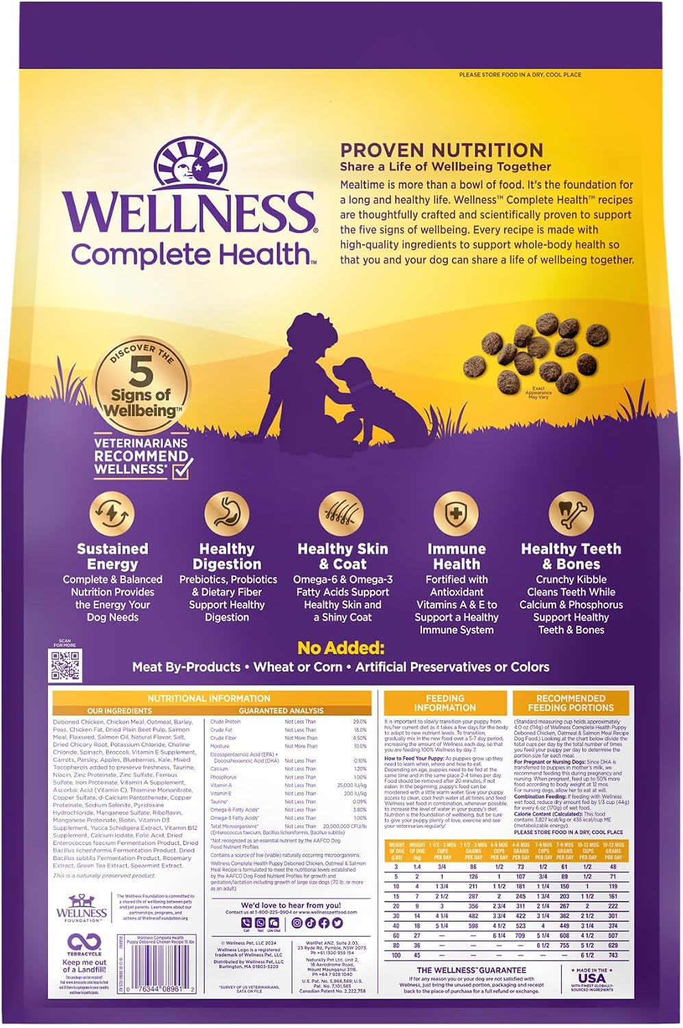Wellness Complete Health Puppy Dry Dog Food, Wholesome Grain Kibble, Natural, Chicken, Oatmeal, and Salmon Recipe, 15 Lb Bag