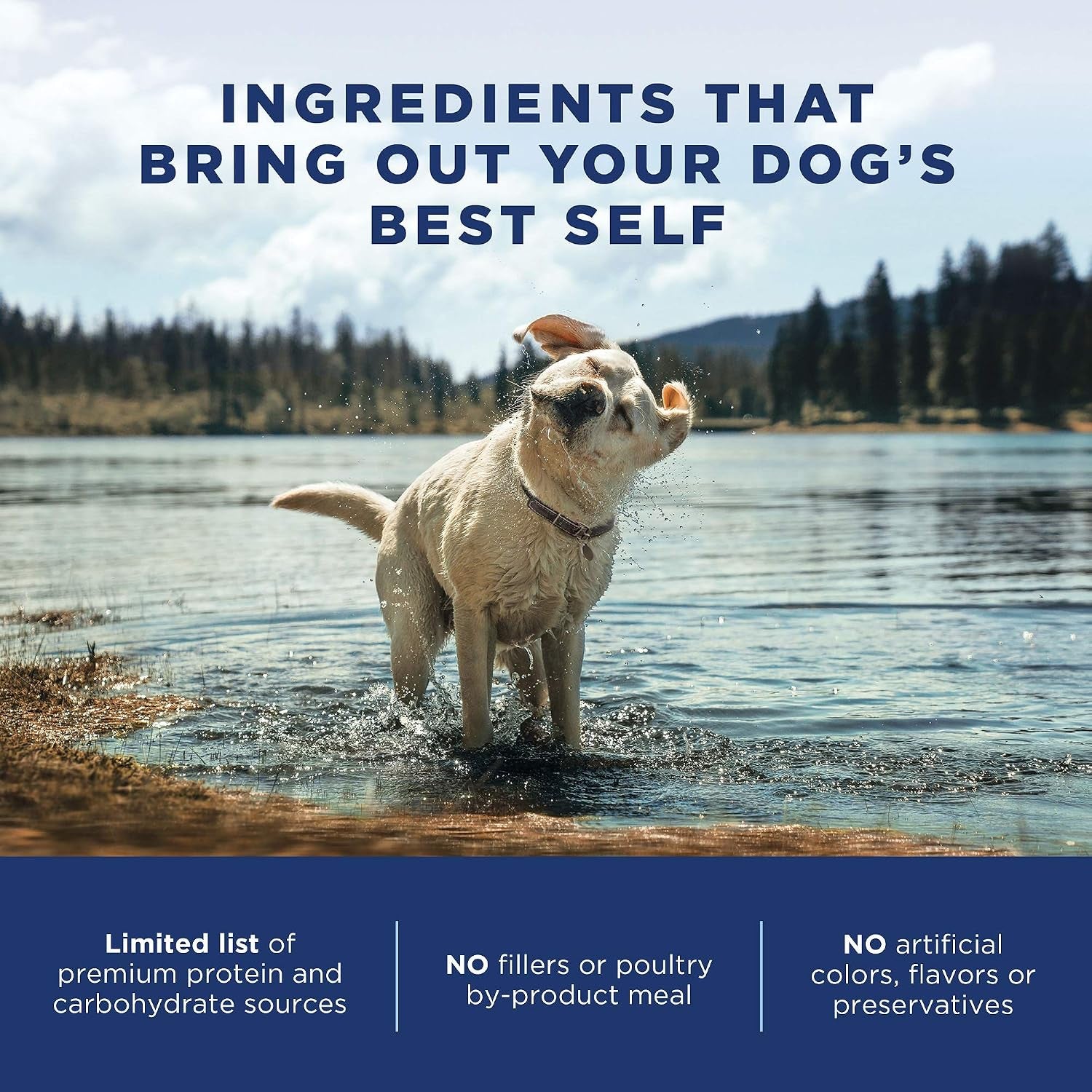 Limited Ingredient Diet Large-Breed Adult Dry Dog Food with Healthy Grains Chicken & Brown Rice, 12 Pound (Pack of 1)