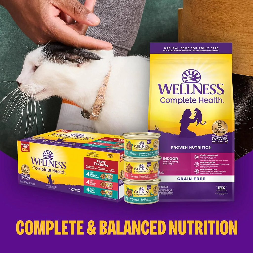 Health Pate Adult Wet Cat Food, Natural, Protein-Rich, Grain Free, 3 Ounce, 24 Pack, (Chicken)