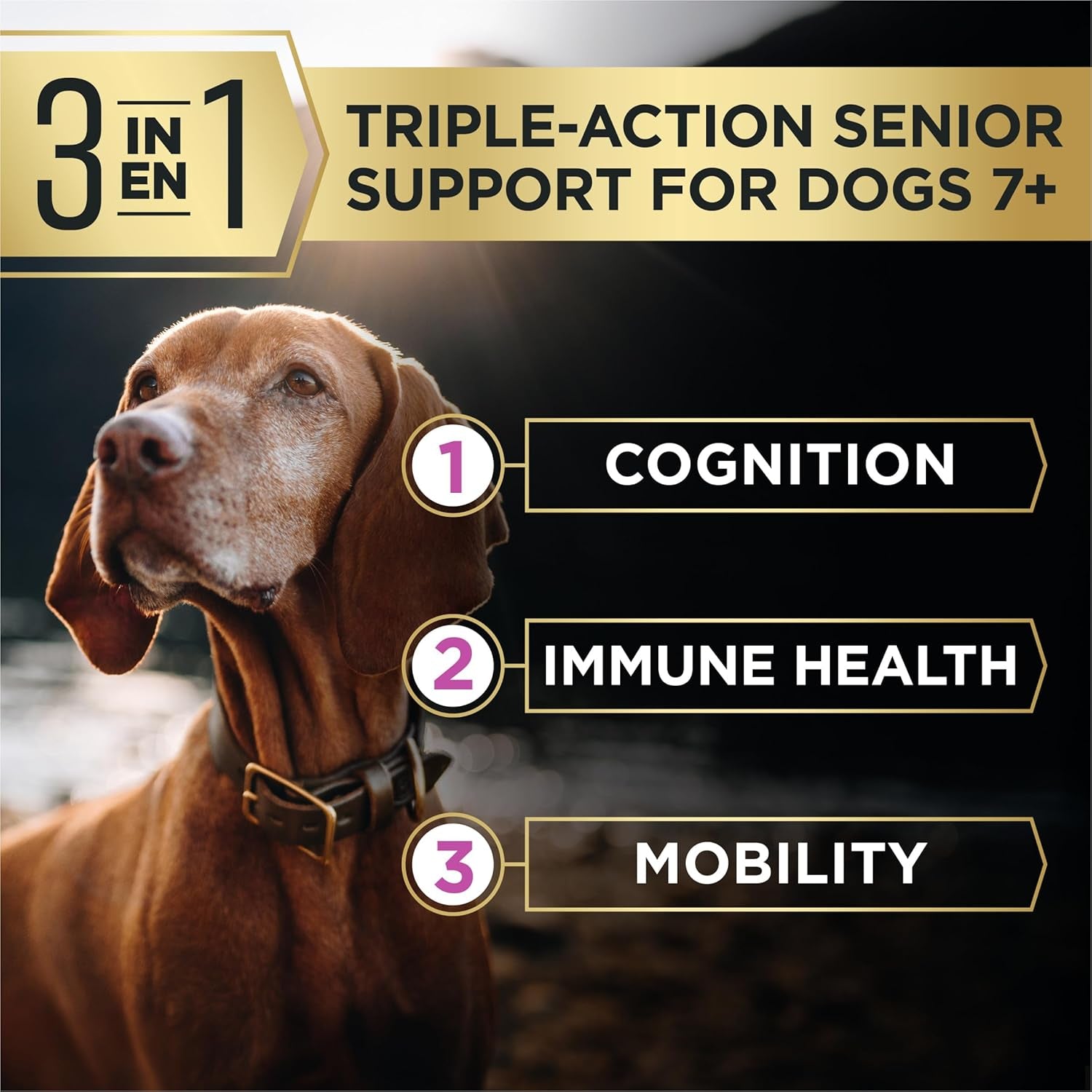 Purina Pro Plan Advantedge Senior Support plus Shredded Blend Chicken and Rice Formula Dry Dog Food - 3.5 Lb. Bag