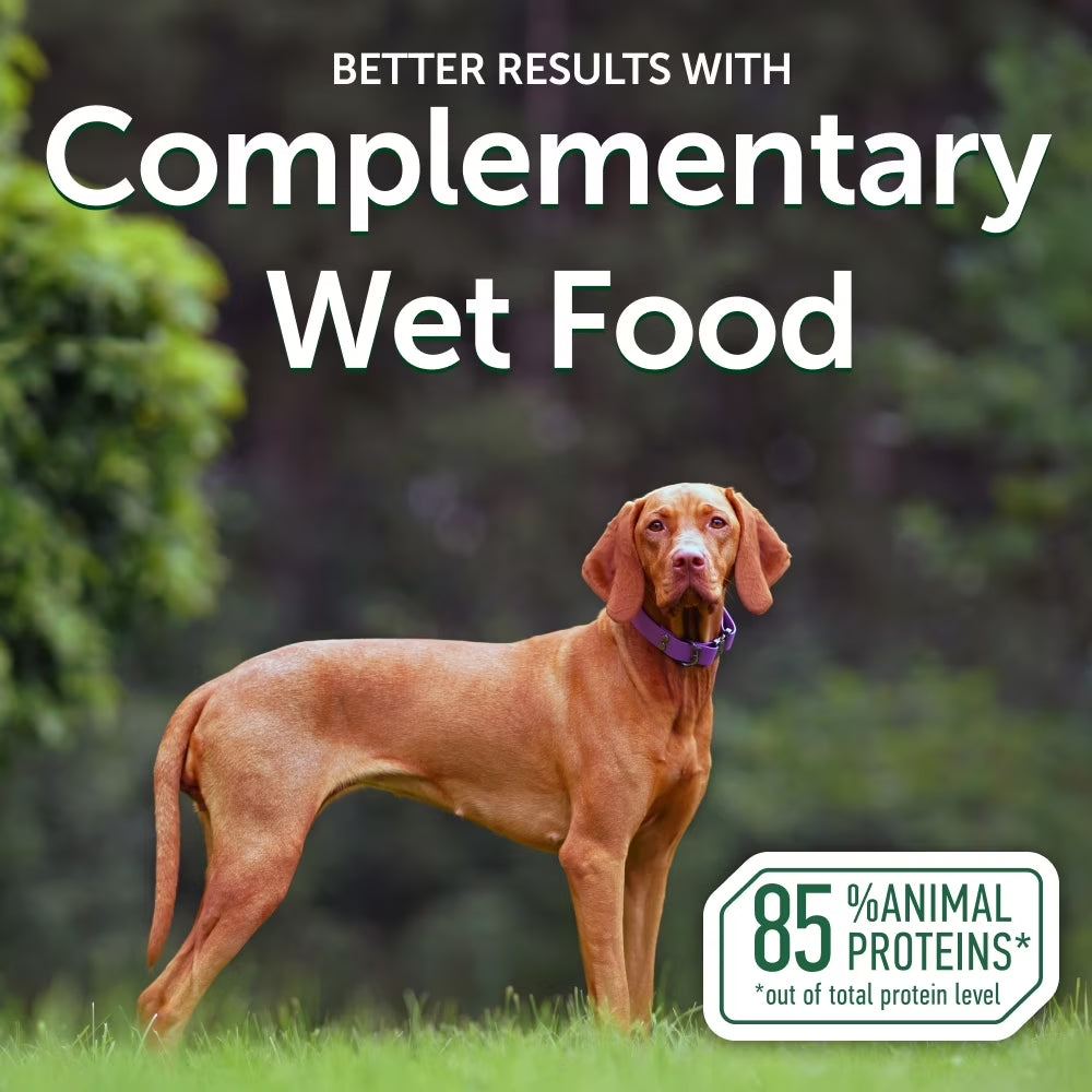 Superior Care Wet Dog Food Topper in Gravy, Red Coat, High Protein Tuna, 24 X 2.5Oz