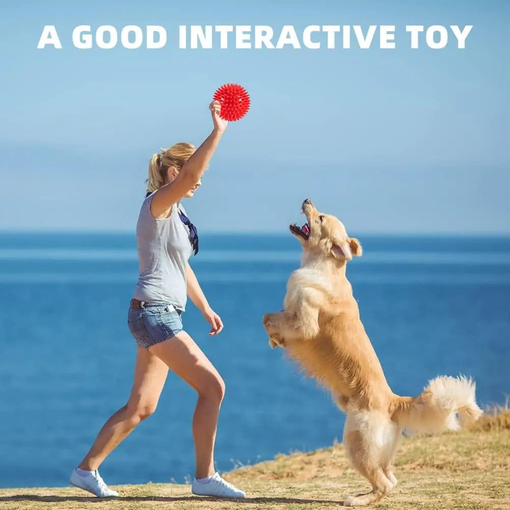 1/36Pcs Squeaky Dog Toys Spiky Dog Balls Cleans Teeth and Gum Health for Your Pet Squeaker Ball Toys for Aggressive Chewers