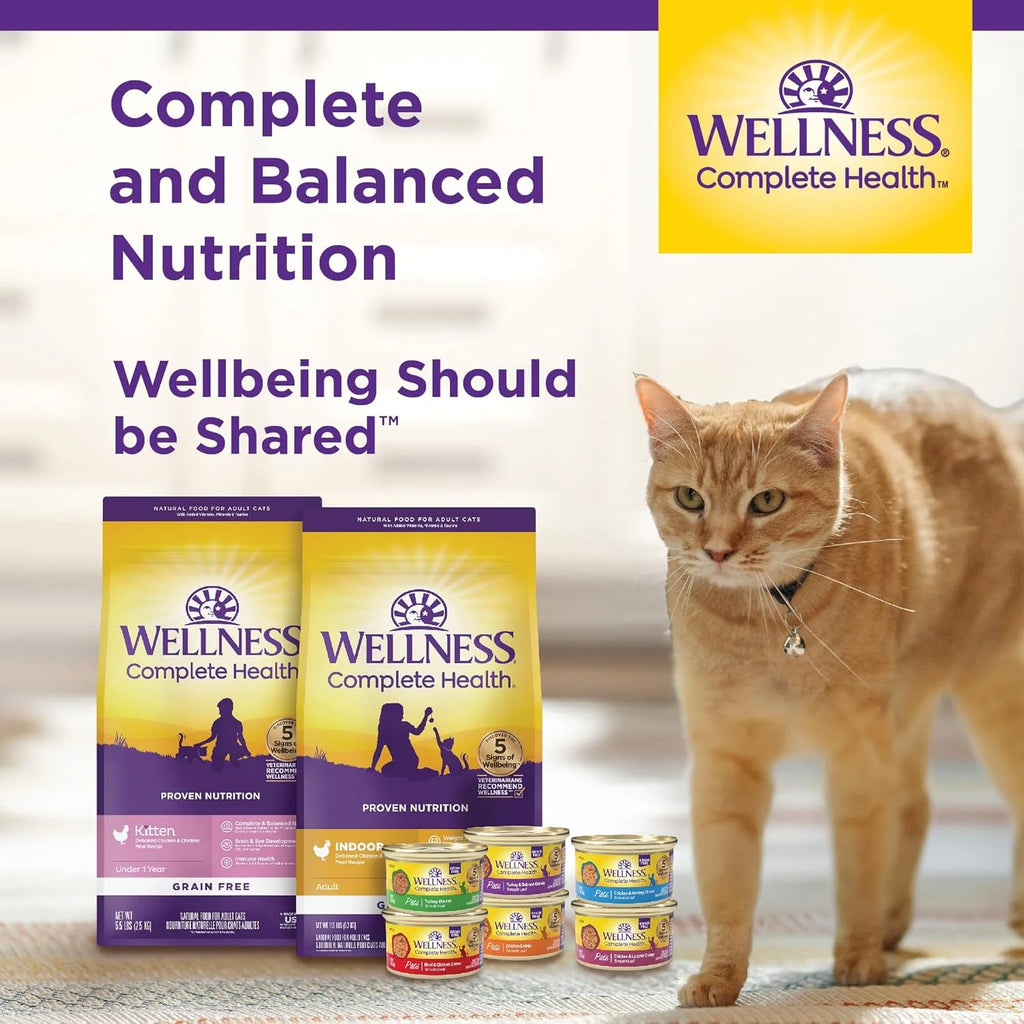 Health Pate Adult Wet Cat Food, Natural, Protein-Rich, Grain Free, 3 Ounce, 24 Pack, (Chicken)
