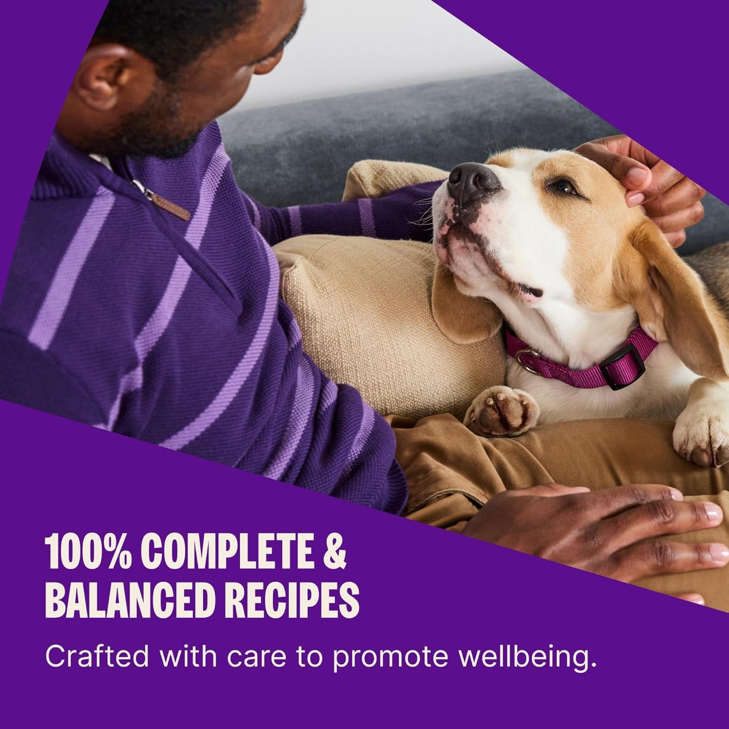 Wellness Complete Health Puppy Dry Dog Food, Wholesome Grain Kibble, Natural, Chicken, Oatmeal, and Salmon Recipe, 15 Lb Bag