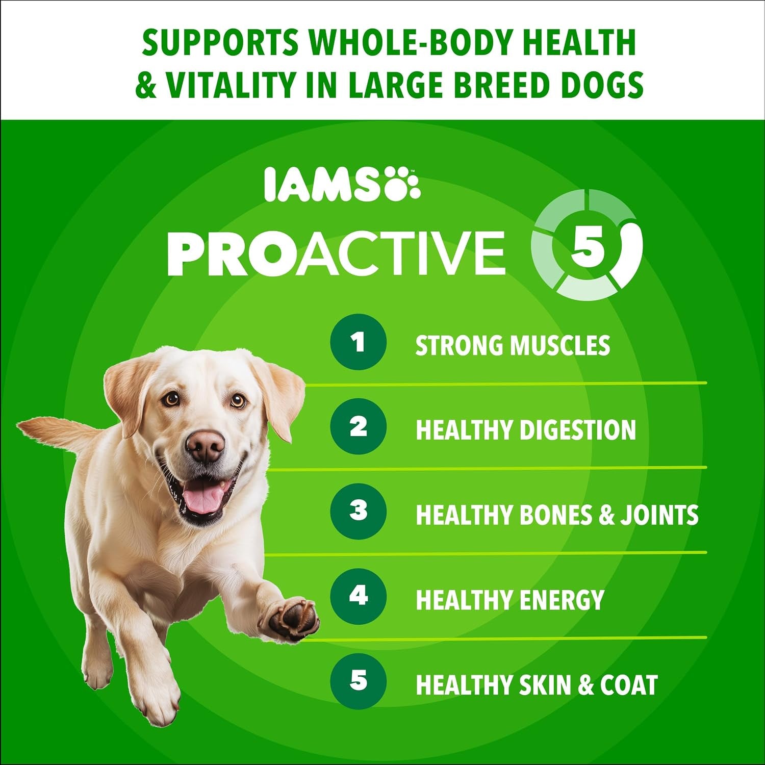 Proactive Health Large Breed Dry Dog Food, Chicken, 38.5 Lb | Veterinarian-Recommended, Real Chicken #1 Ingredient, L-Carnitine for Metabolism, Glucosamine & Chondroitin, Optimal Calcium