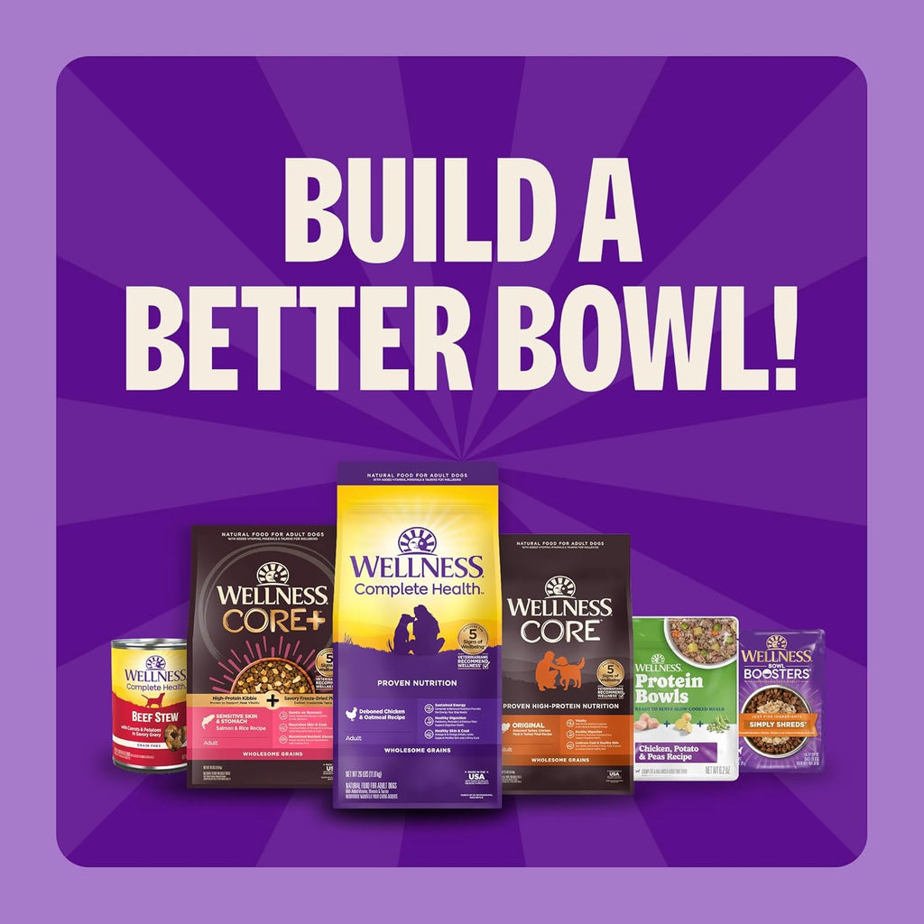 Wellness Complete Health Puppy Dry Dog Food, Wholesome Grain Kibble, Natural, Chicken, Oatmeal, and Salmon Recipe, 15 Lb Bag