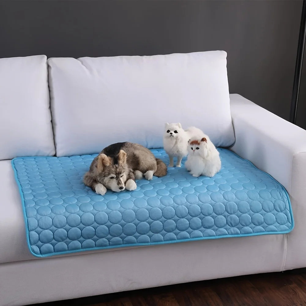Aura Base: Your Trusted Partner for Premium Pet Supplies – Quality, Reliability, and Happy Pets!