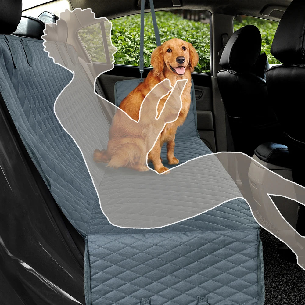 Aura Base: Your Trusted Partner for Premium Pet Supplies – Quality, Reliability, and Happy Pets!