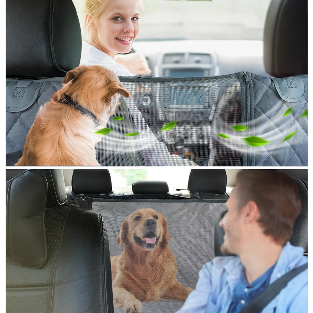 Aura Base: Your Trusted Partner for Premium Pet Supplies – Quality, Reliability, and Happy Pets!