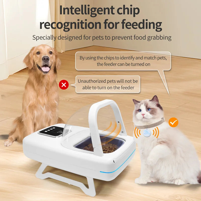 RFID Eco-Friendly Plastic Microchip Automatic Cat Feeder New Upgrade Intelligent Bowl for Two Cats Multiple Pets Recognition