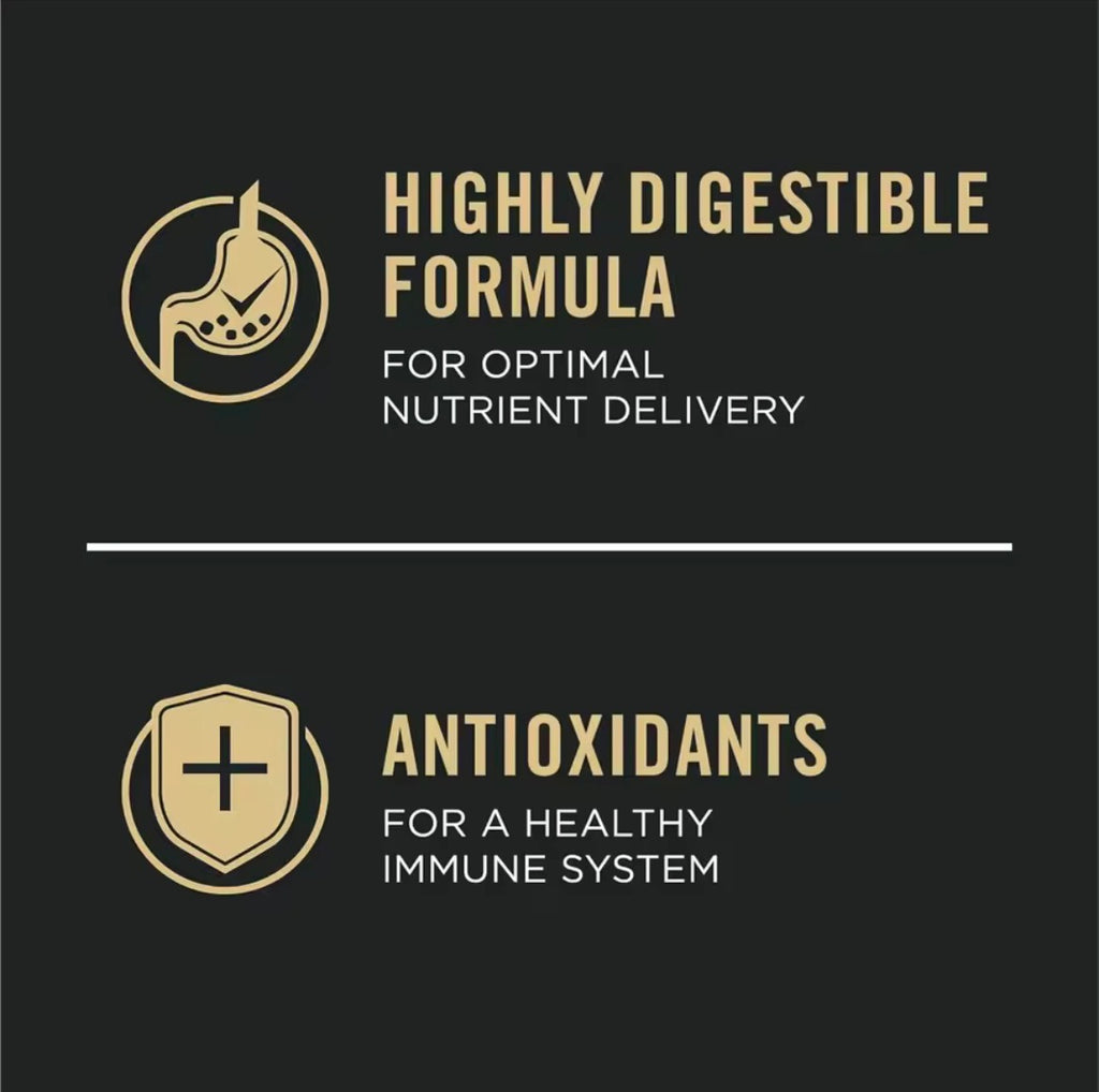 Dry Dog Food with Probiotics Beef and Rice Formula for Adult Dogs
