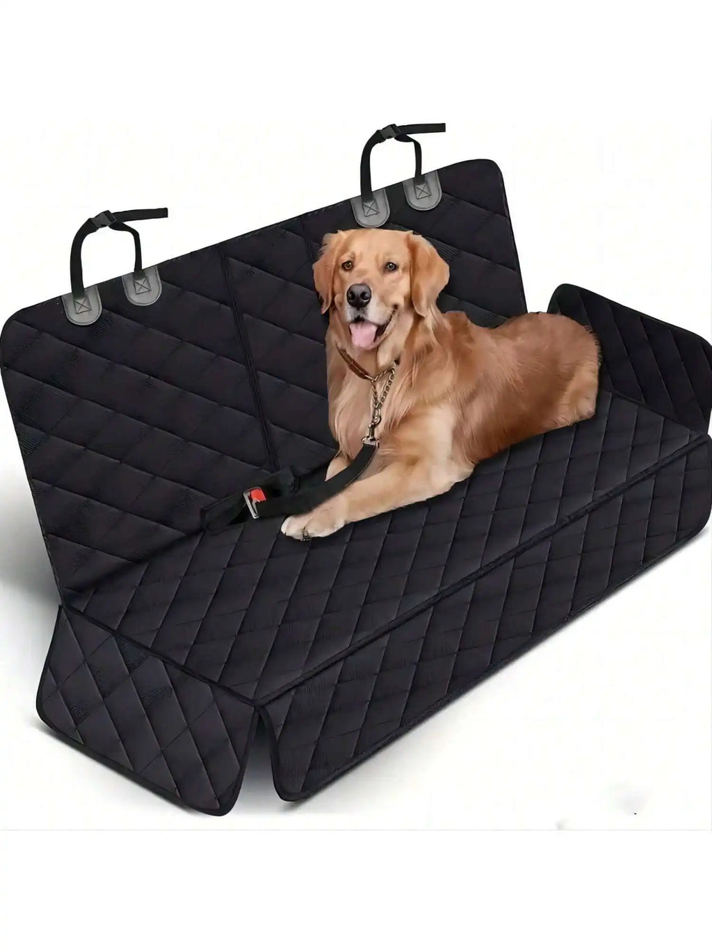 Aura Base: Your Trusted Partner for Premium Pet Supplies – Quality, Reliability, and Happy Pets!