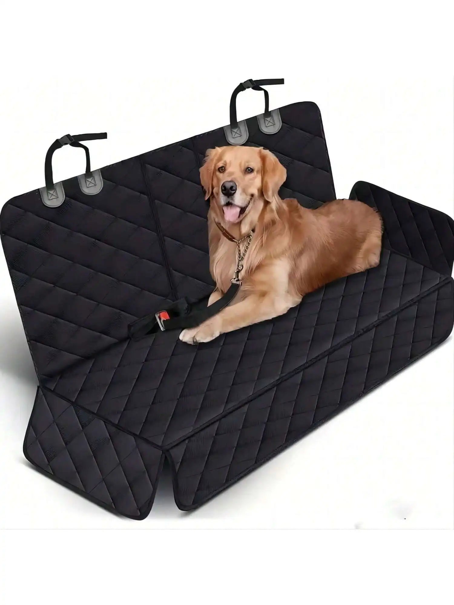 Aura Base: Your Trusted Partner for Premium Pet Supplies – Quality, Reliability, and Happy Pets!