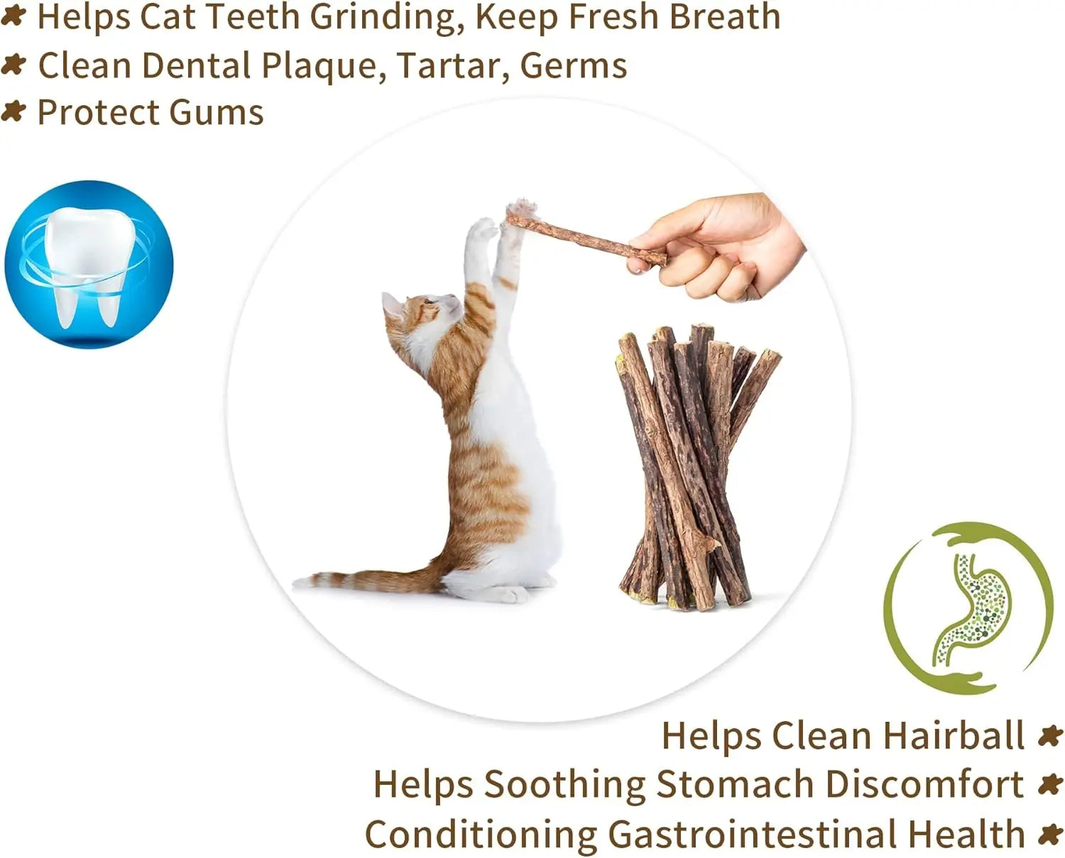 Natural Silvervine Sticks for Cats Catnip Chew Toys Teeth Molar Sticks Dental Cleaning Chewing Gifts Kitten Cat Toy Catnip