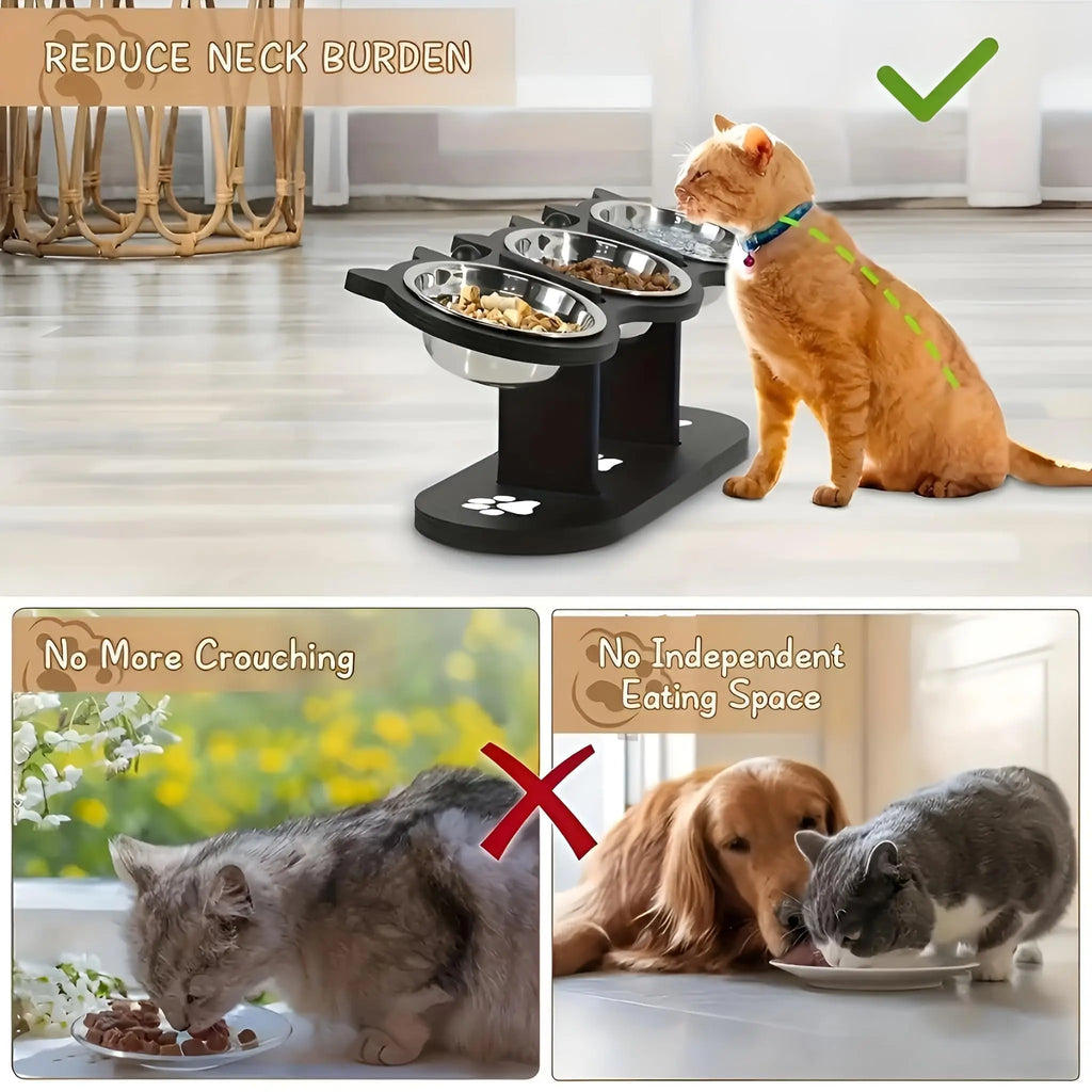 Elevated Cat Food Bowl with Black