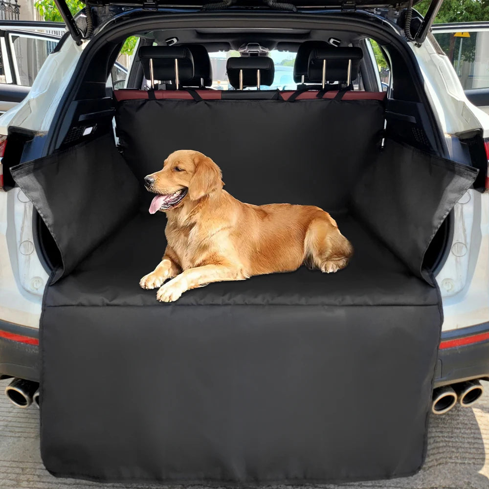 Aura Base: Your Trusted Partner for Premium Pet Supplies – Quality, Reliability, and Happy Pets!