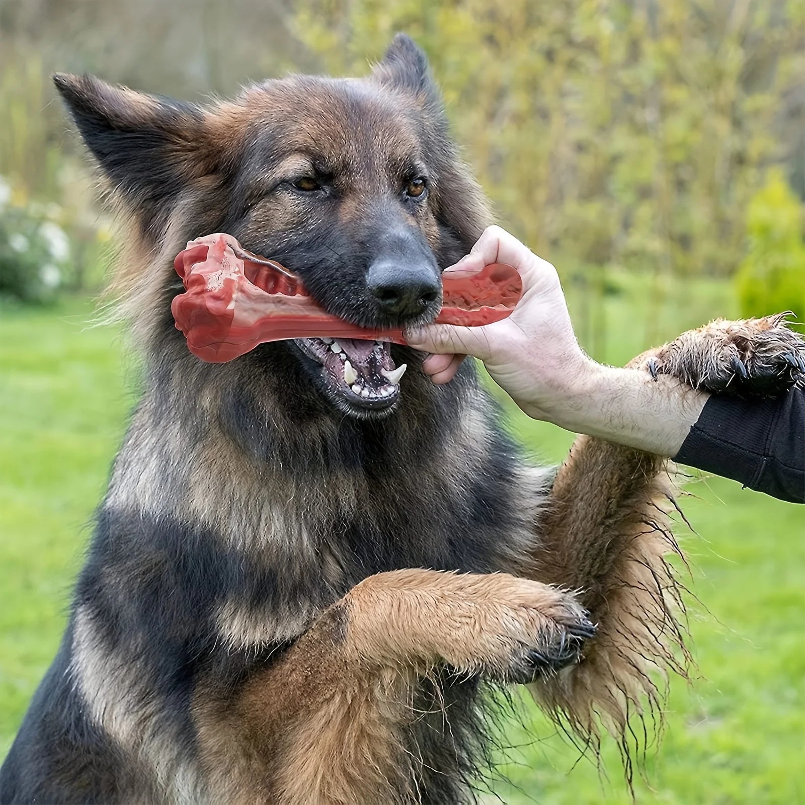 Indestructible Dog Chew Toy for Aggressive