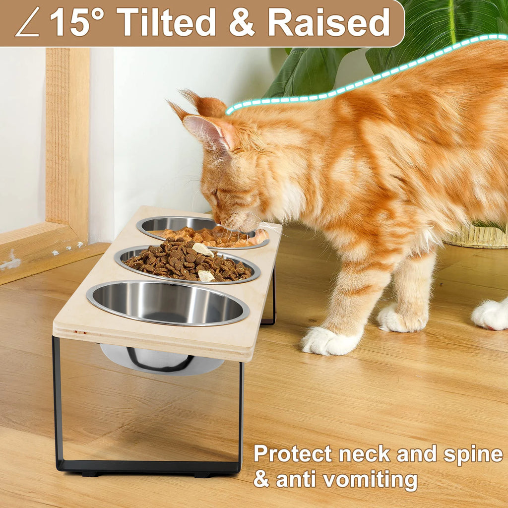 Elevated Cat Bowls with 3 Stainless Steel Bowls Cat Food Bowl for Small Cats