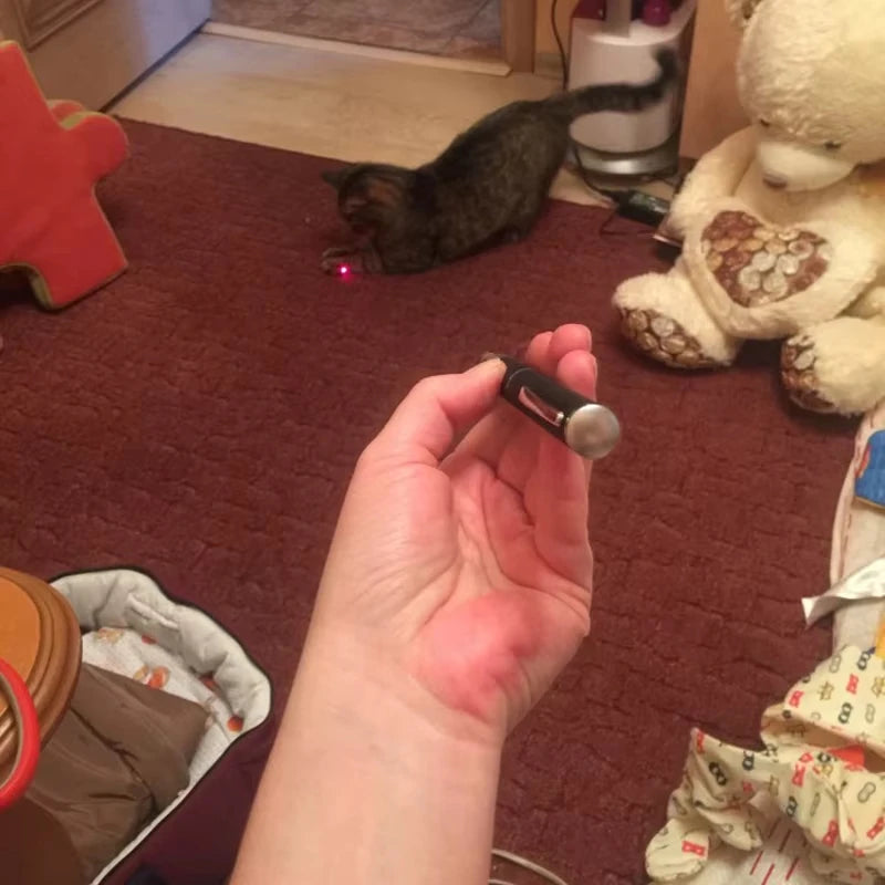 Pet Interactive Light & LED Flashlight, Funny Cat Play Toy, Christmas Gift for Kittens