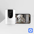 Aura Base 1080P Indoor Smart Security Camera with Pet Motion Detection.