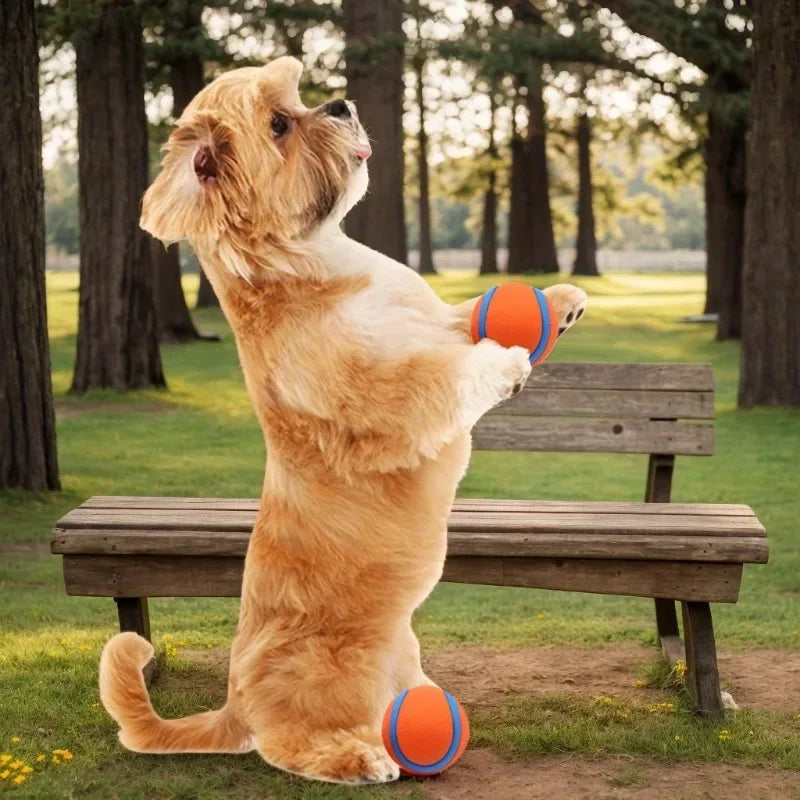 Pet Toy Ball Puppy Chew Toy Solid Elastic Jumping Ball Pet