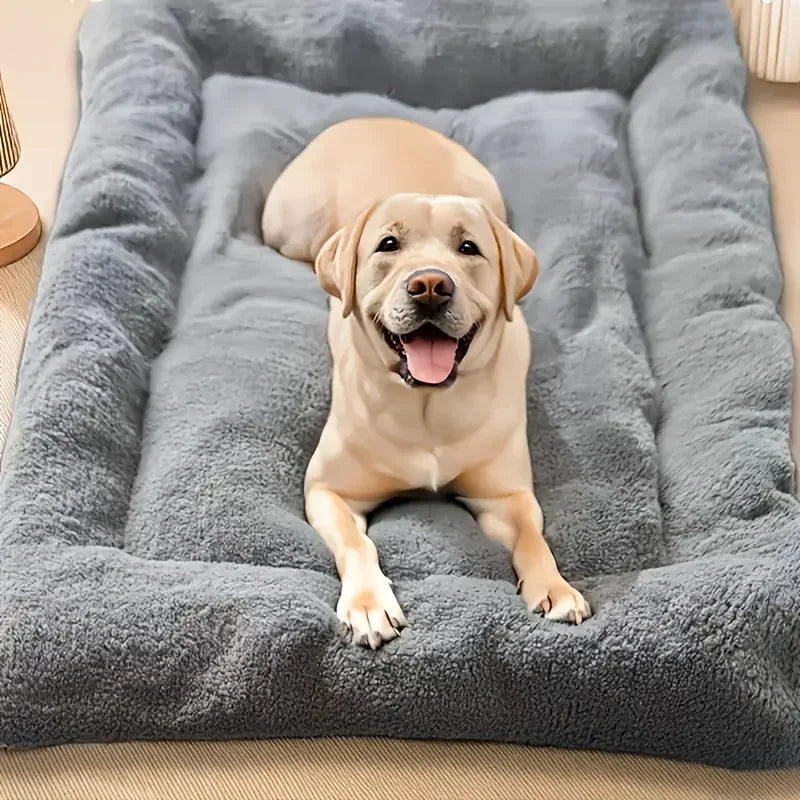 AURABASE - Extra Large Plush Dog Bed, Thickened Super Soft Pet Sofa Mat and Crate Mat"।