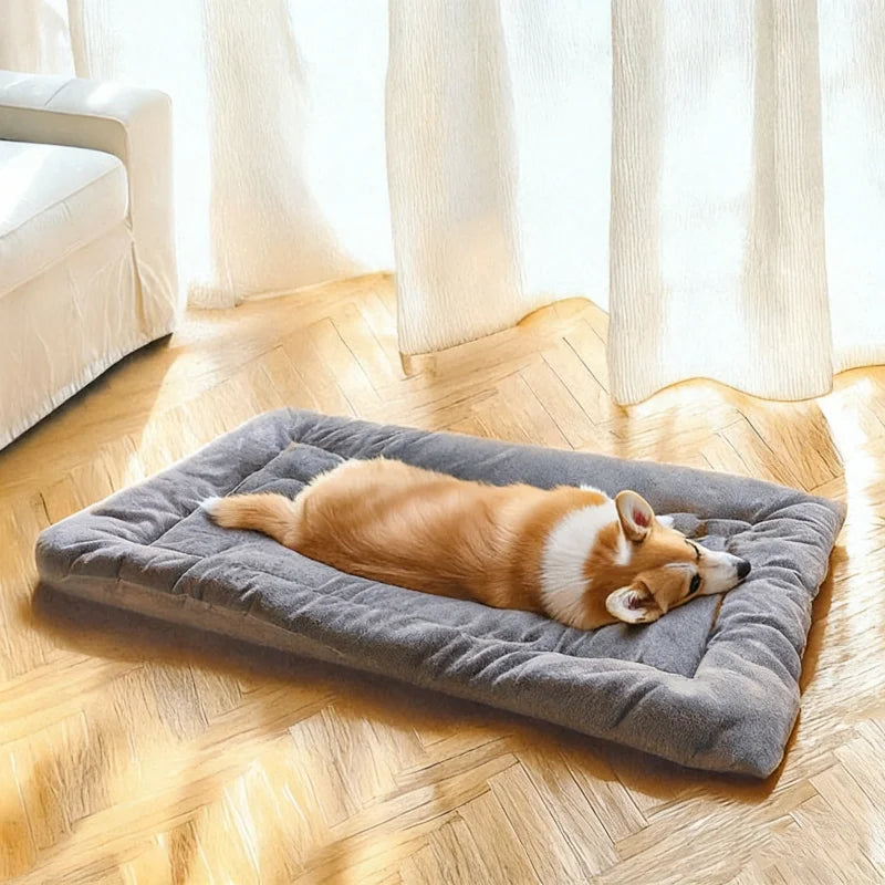 Aura Base: Your Trusted Partner for Premium Pet Supplies – Quality, Reliability, and Happy Pets!