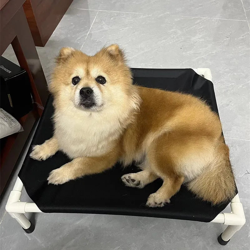 Aura Base: Your Trusted Partner for Premium Pet Supplies – Quality, Reliability, and Happy Pets!
