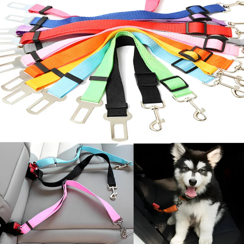 Aura Base: Your Trusted Partner for Premium Pet Supplies – Quality, Reliability, and Happy Pets!