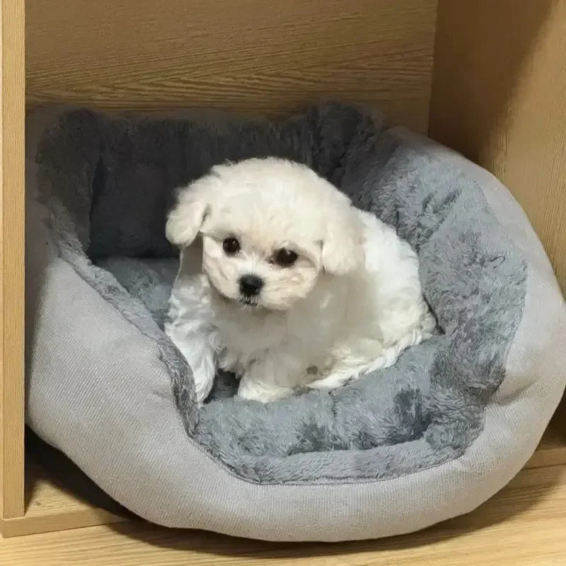 AURABASE - Very Soft Warm Dog Bed, Cozy Pet Basket for Medium and Large Dogs.