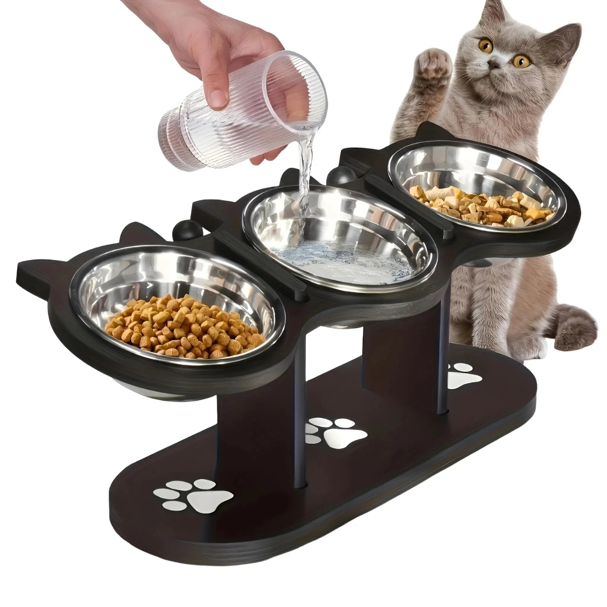 Elevated Cat Food Bowl with Black