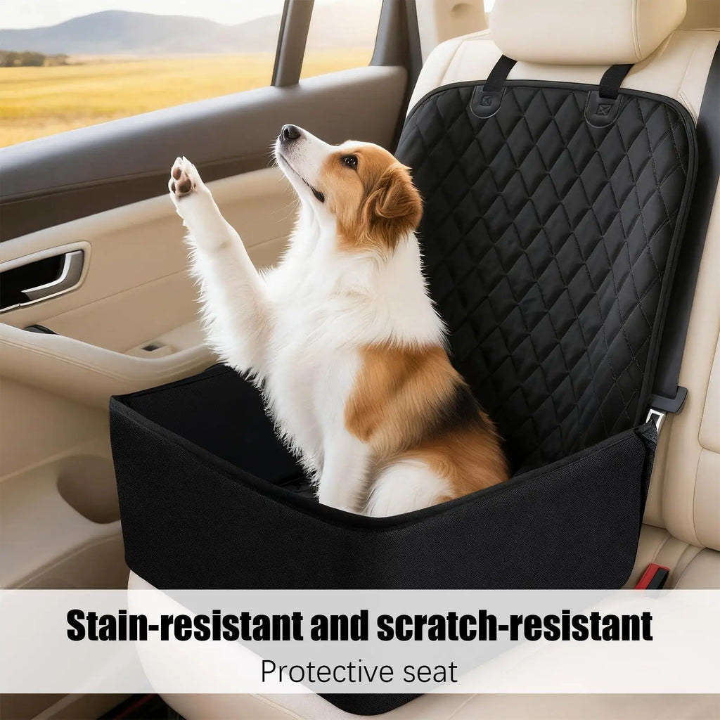 Aura Base: Your Trusted Partner for Premium Pet Supplies – Quality, Reliability, and Happy Pets!