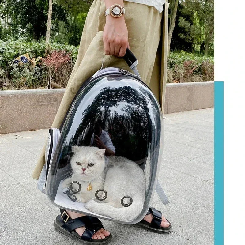Cat Pet Carrier Backpack Transparent Capsule Bubble Pet Backpack Small Animal Puppy Kitty Bird Breathable Pet Carrier for Travel