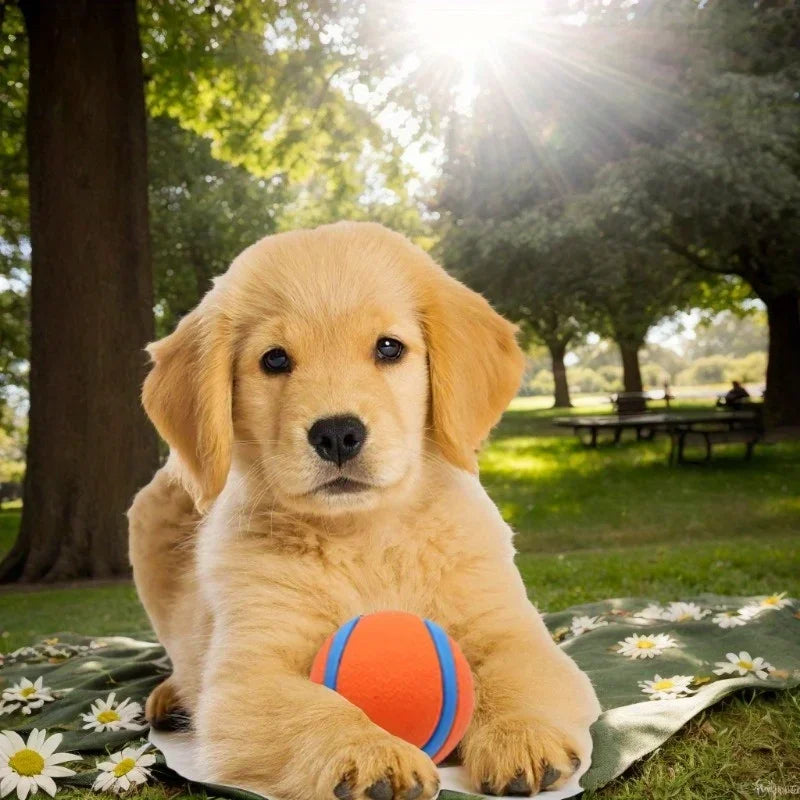 Pet Toy Ball Puppy Chew Toy Solid Elastic Jumping Ball Pet