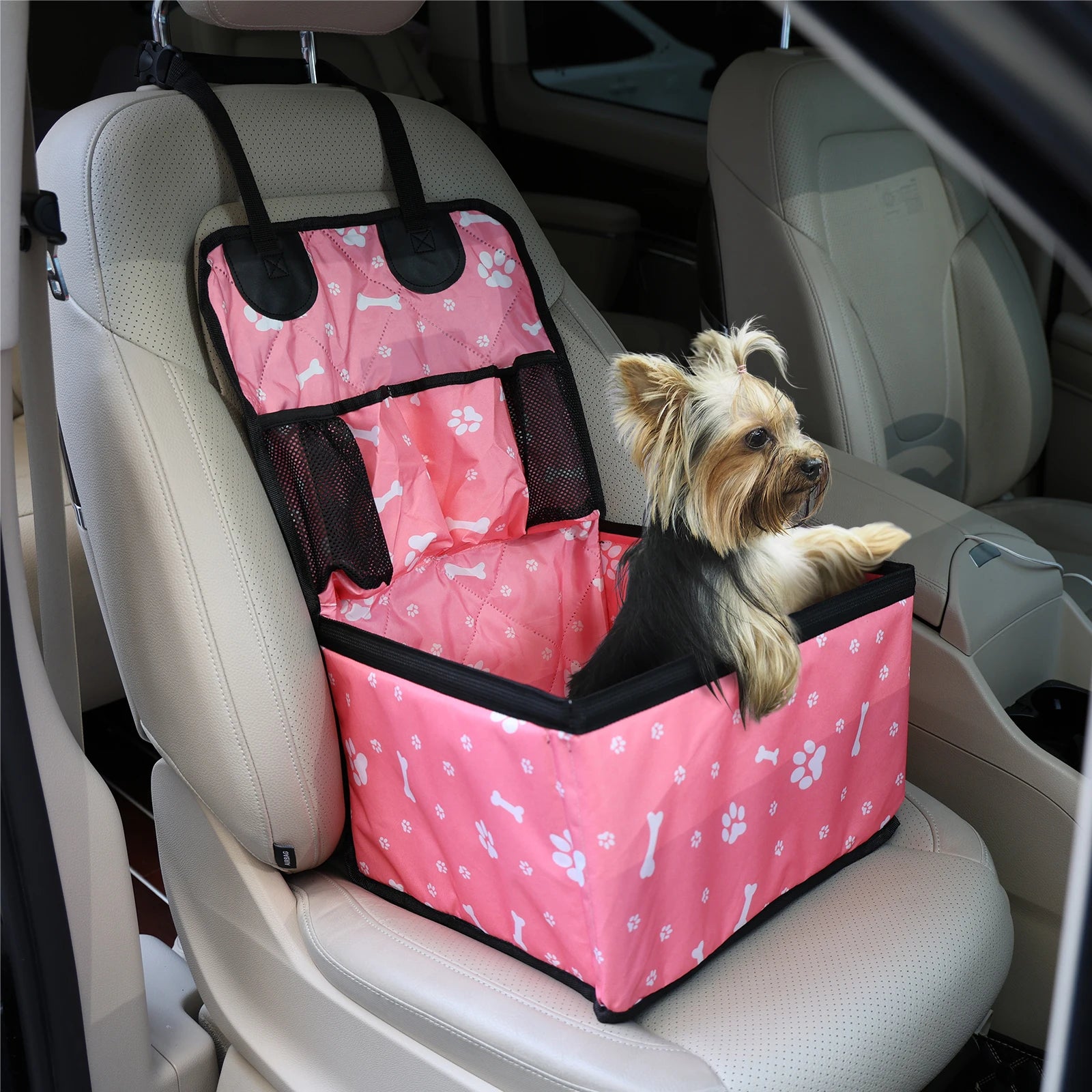 Aura Base: Your Trusted Partner for Premium Pet Supplies – Quality, Reliability, and Happy Pets!