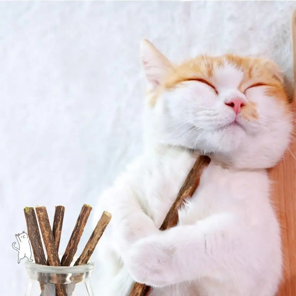 Natural Silvervine Sticks for Cats Catnip Chew Toys Teeth Molar Sticks Dental Cleaning Chewing Gifts Kitten Cat Toy Catnip