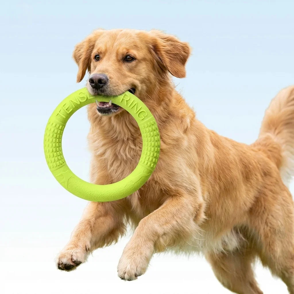 Floating Water Dog Toys Pet Flying Disk Training Ring Interactive Toy Puller Resistant Aggressive Chewing for Small Medium Dogs