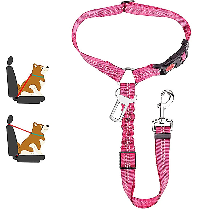 Aura Base: Your Trusted Partner for Premium Pet Supplies – Quality, Reliability, and Happy Pets!