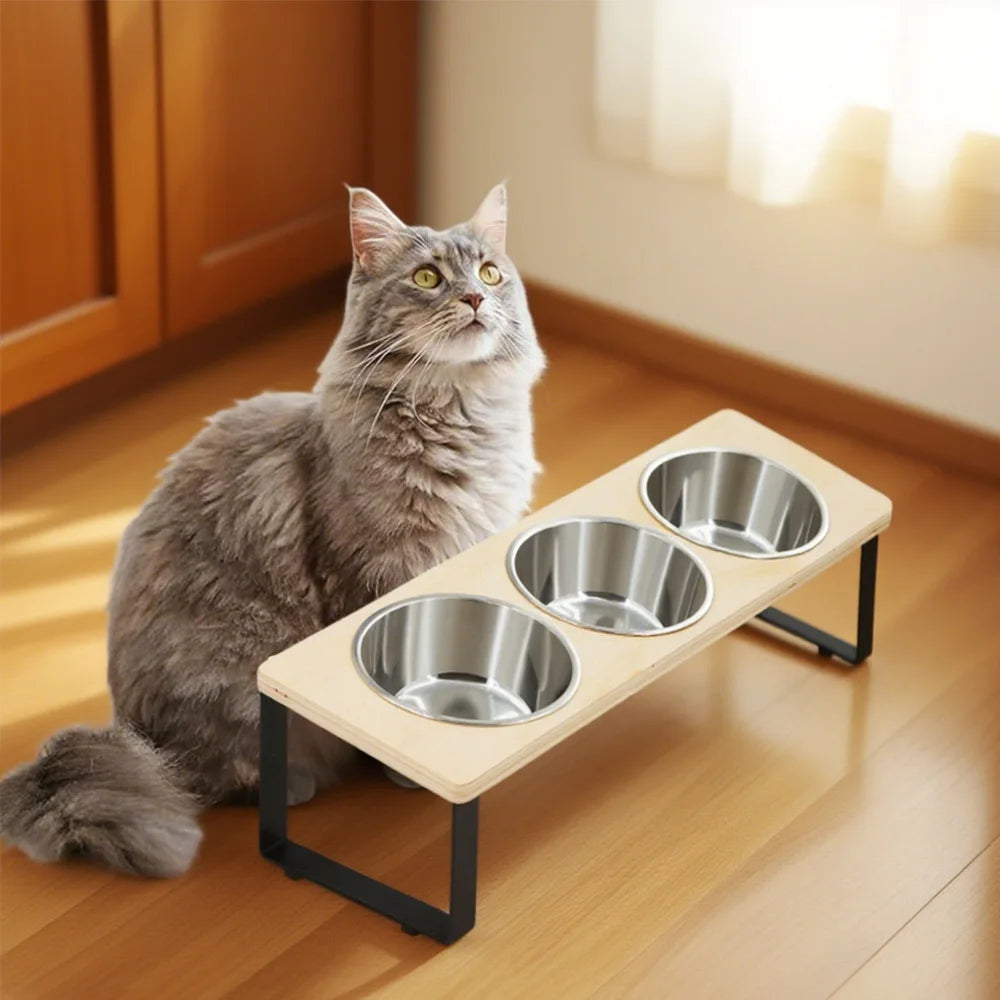Elevated Cat Bowls with 3 Stainless Steel Bowls Cat Food Bowl for Small Cats