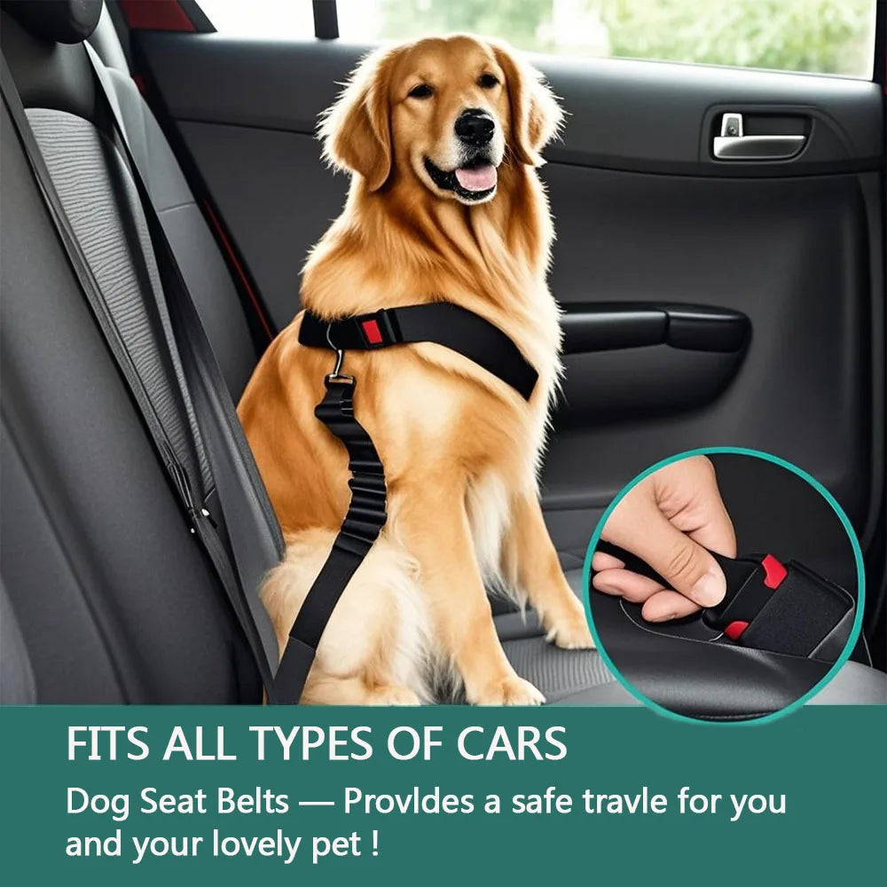 Advanced Dog Car Seat Belt Pet Dog Car Seat Nylon Material Seat Buckle Adjustable Length Suitable for Any Pet Dog Traction Rope