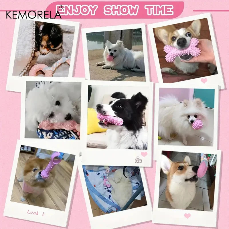 6 PCS Dog Chew Toys Soft Set For Small Medium Dogs Pet Gifts