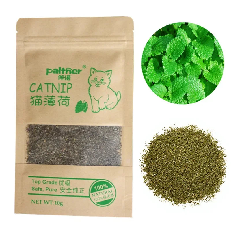 10g Menthol Flavor Funny Cat Supplies Keep Pet Health Cat Toy