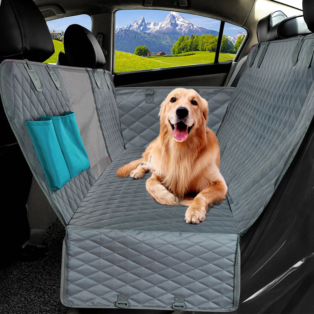 Aura Base: Your Trusted Partner for Premium Pet Supplies – Quality, Reliability, and Happy Pets!