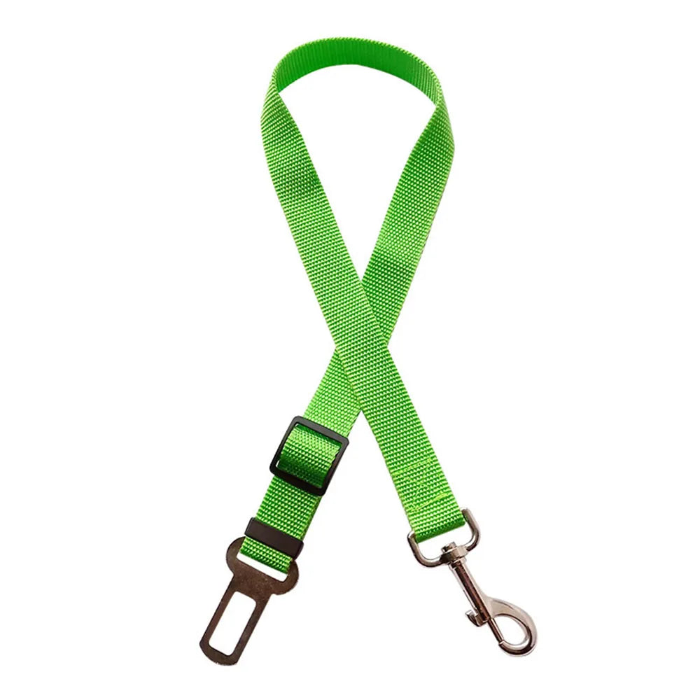 Aura Base: Your Trusted Partner for Premium Pet Supplies – Quality, Reliability, and Happy Pets!